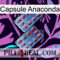 Anaconda Capsule 05